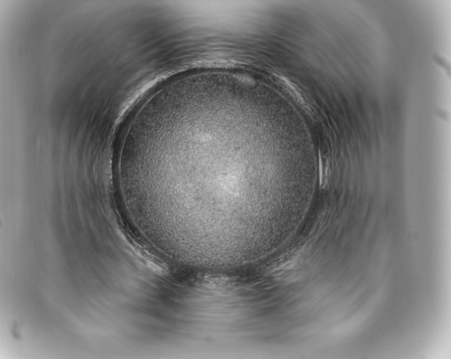 X0000093500531200710261139