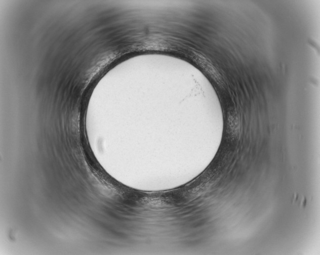 X0000093500534200710261139