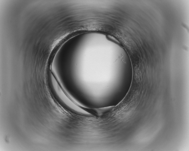 X0000093500536200710261139