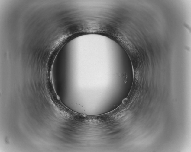 X0000093500540200710261139