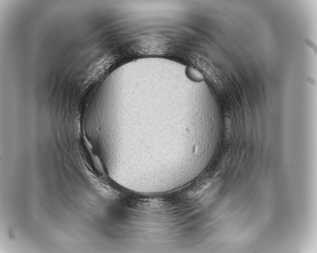 X0000093500541200710261140