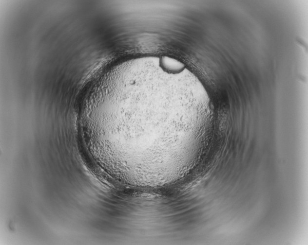 X0000093500542200710261140