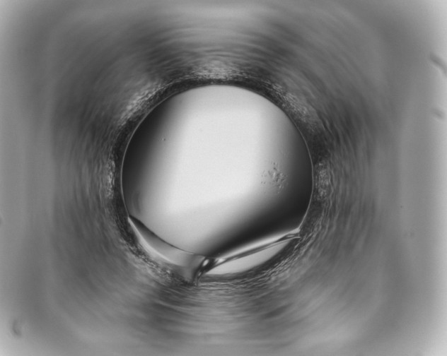 X0000093500544200710261140