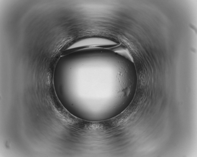X0000093500546200710261140