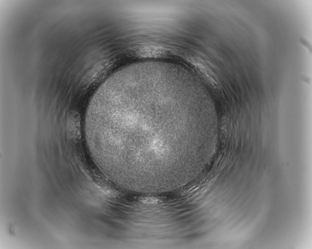 X0000093500547200710261140