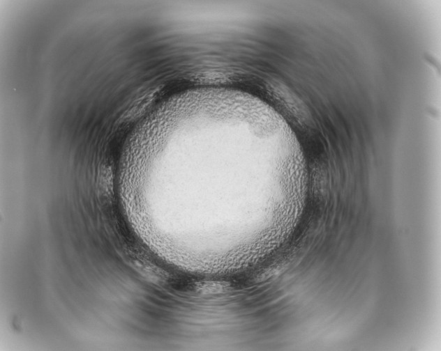 X0000093500549200710261140