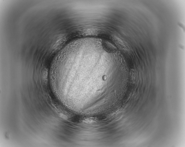 X0000093500550200710261140