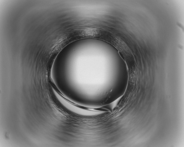 X0000093500552200710261140