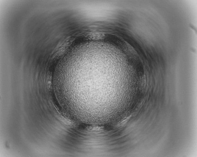 X0000093500553200710261140