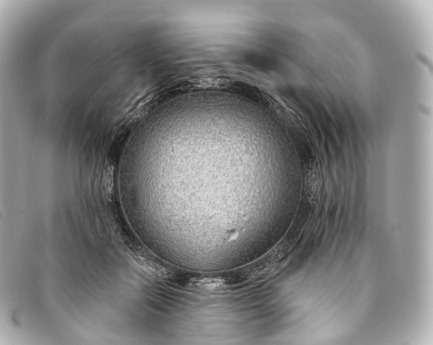 X0000093500554200710261140