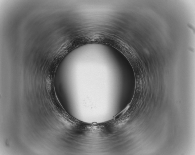 X0000093500558200710261140