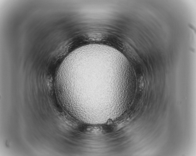 X0000093500559200710261140