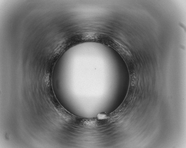 X0000093500560200710261140