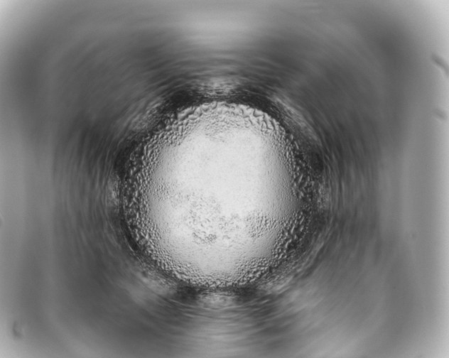 X0000093500561200710261140