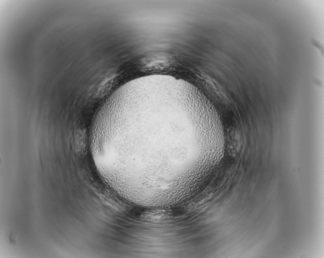 X0000093500563200710261140