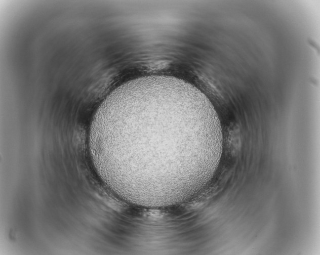 X0000093500565200710261140