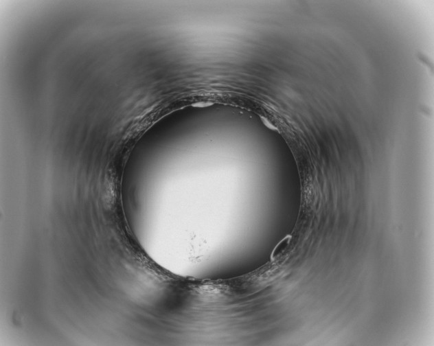 X0000093500566200710261140