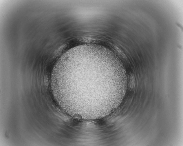 X0000093500569200710261140