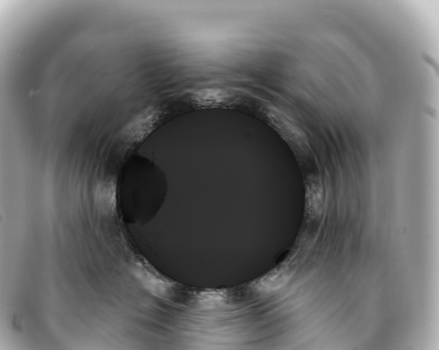 X0000093500574200710261140
