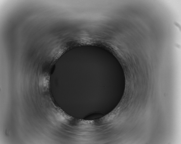 X0000093500576200710261140