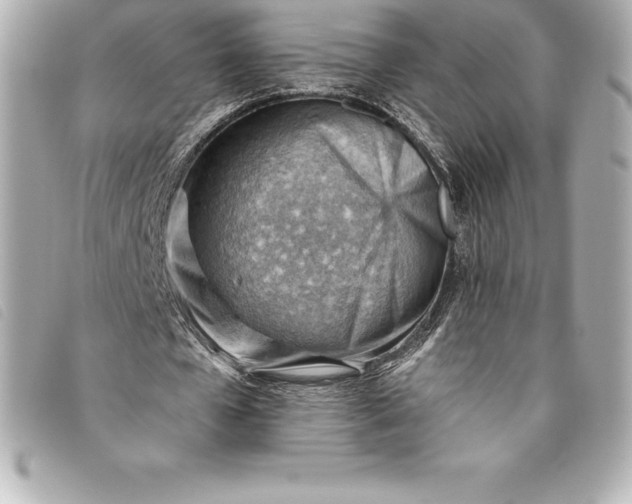 X0000093500577200710261139