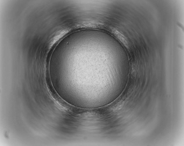 X0000093500578200710261139