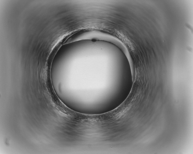 X0000093500580200710261139
