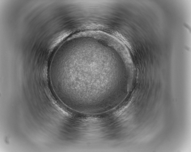 X0000093500581200710261139