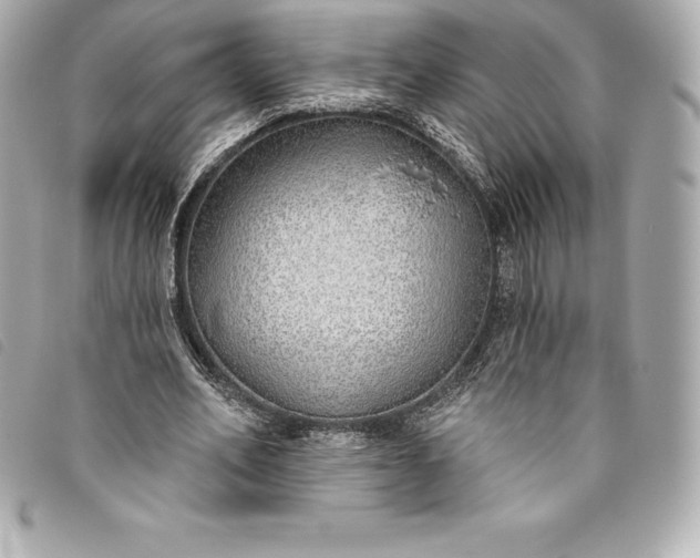 X0000093500582200710261139