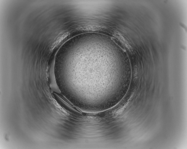 X0000093500585200710261139