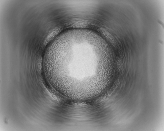 X0000093500586200710261139