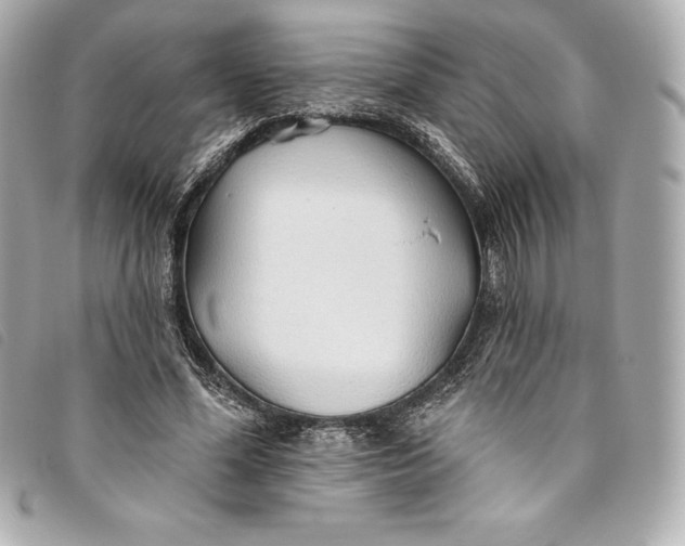 X0000093500588200710261139