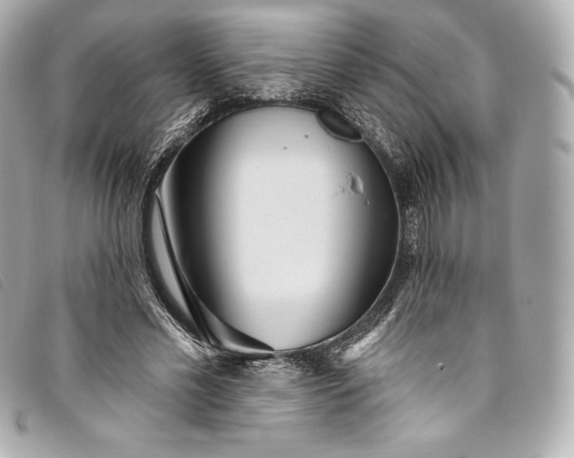 X0000093500589200710261139