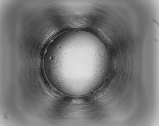 X0000093500591200710261139