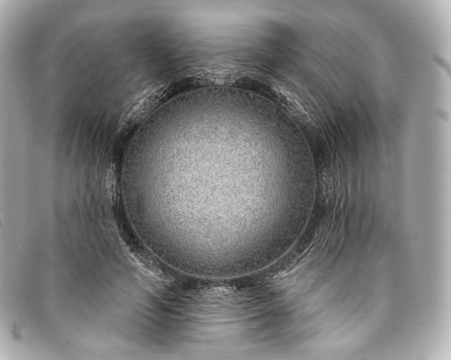 X0000093500594200710261139