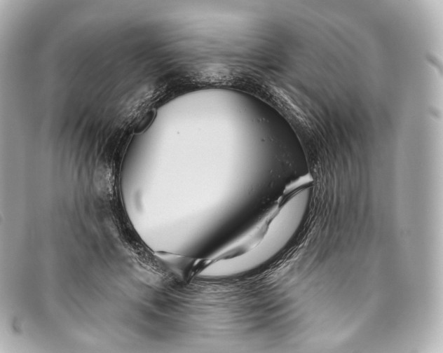 X0000093500597200710261139