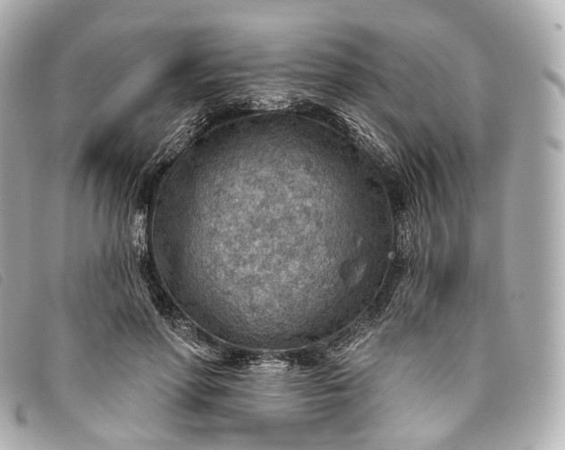 X0000093500598200710261139