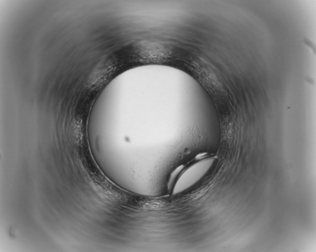X0000093500599200710261139