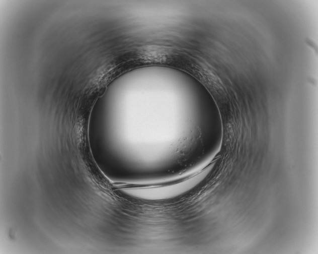 X0000093500600200710261139