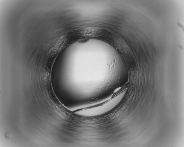 X0000093500601200710261139