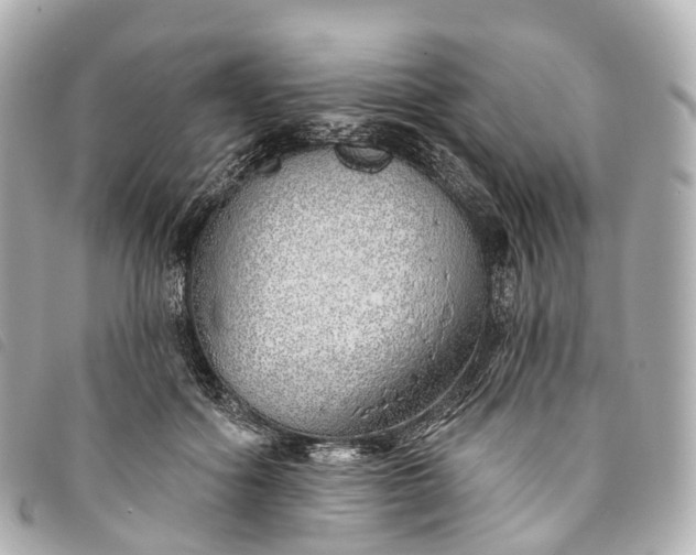 X0000093500602200710261139
