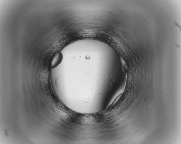 X0000093500604200710261139