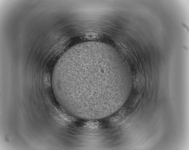 X0000093500606200710261139