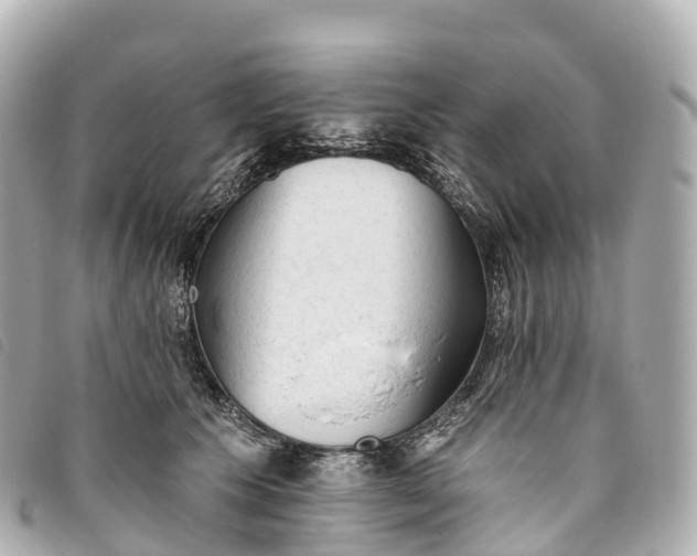 X0000093500609200710261139