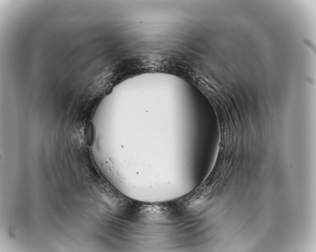 X0000093500611200710261139
