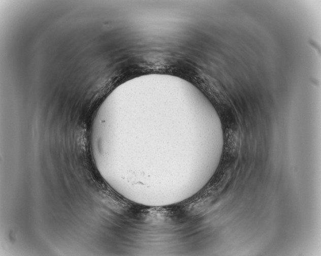 X0000093500612200710261139