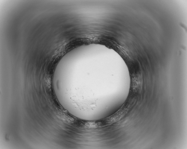X0000093500613200710261139