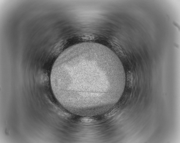 X0000093500614200710261139