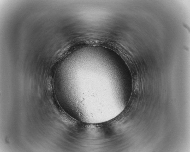X0000093500616200710261139