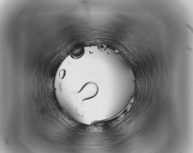 X0000093500617200710261139